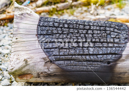 Charred smoking wood log Charred smoking wood log 136544442