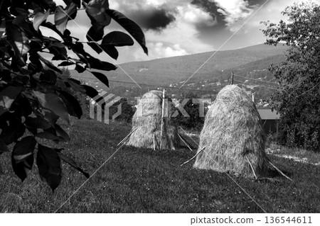 Haystacks on a Hillside Under Dramatic Cloudy Sky 136544611