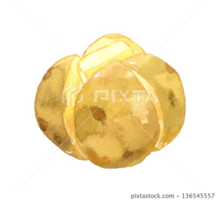 馬鈴薯醬－手繪水彩烹飪與食物插圖 136545557