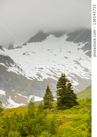 Mountains summer landscape in Norway. Mountains summer landscape in Norway. 136545733