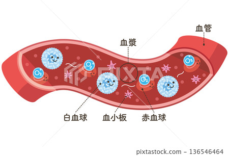 Cells flowing through blood vessels: Red blood cells carrying O2 (oxygen) (named) 136546464