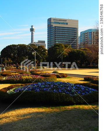 View of Yamashita Park, Yokohama View of Yamashita Park, Yokohama 136546768