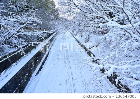 The snowy world of Keage Incline and Somei Yoshino cherry blossoms The snowy world of Keage Incline and Somei Yoshino cherry blossoms 136547003