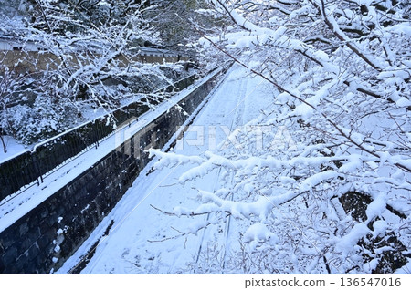 The snowy world of Keage Incline and Somei Yoshino cherry blossoms The snowy world of Keage Incline and Somei Yoshino cherry blossoms 136547016
