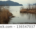Scenery on the shore of Lake Biwa 136547037