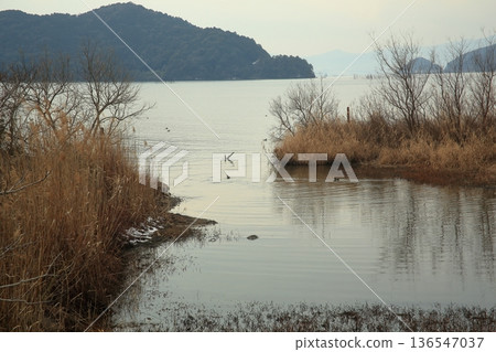Scenery on the shore of Lake Biwa 136547037