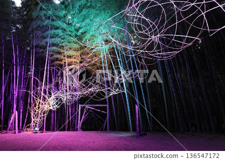 Wakayama Farm Light-up in Wakatake Forest, Tochigi Prefecture Wakayama Farm Light-up in Wakatake Forest, Tochigi Prefecture 136547172