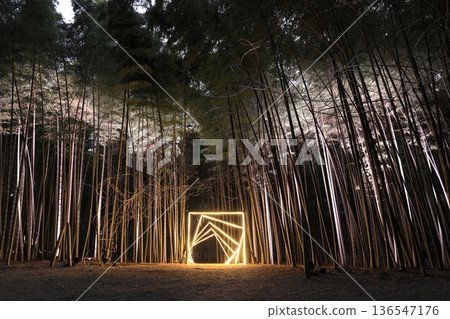Wakayama Farm Light-up in Wakatake Forest, Tochigi Prefecture Wakayama Farm Light-up in Wakatake Forest, Tochigi Prefecture 136547176