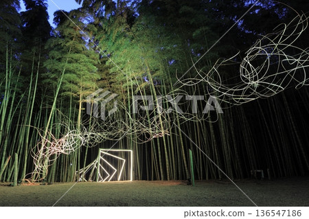 Wakayama Farm Light-up in Wakatake Forest, Tochigi Prefecture Wakayama Farm Light-up in Wakatake Forest, Tochigi Prefecture 136547186