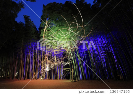 栃木縣若岳森林與歌山農場燈光秀 136547195