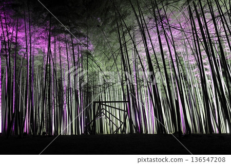 Wakayama Farm Light-up in Wakatake Forest, Tochigi Prefecture Wakayama Farm Light-up in Wakatake Forest, Tochigi Prefecture 136547208