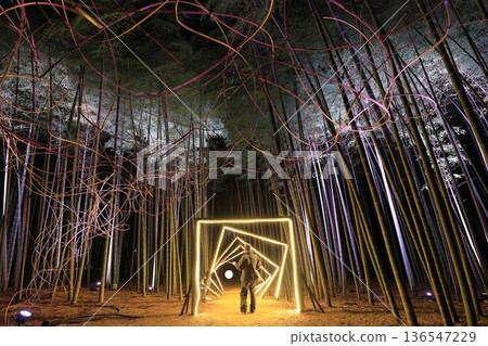 Wakayama Farm Light-up in Wakatake Forest, Tochigi Prefecture Wakayama Farm Light-up in Wakatake Forest, Tochigi Prefecture 136547229