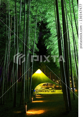 宇都宮若竹林和歌山農場點燈 136547477