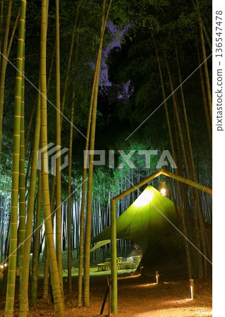 Utsunomiya Wakatake Forest Wakayama Farm Light-up Utsunomiya Wakatake Forest Wakayama Farm Light-up 136547478