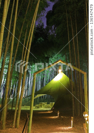 宇都宮若竹林和歌山農場點燈 136547479