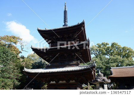 愛媛郡松山市石手寺的三重塔 136547517