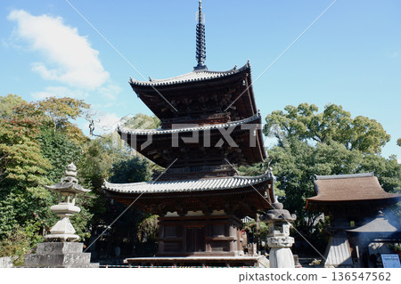 愛媛郡松山市石手寺的三重塔 136547562