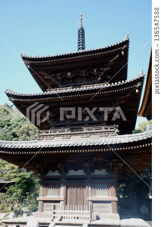 愛媛郡松山市石手寺的三重塔 愛媛郡松山市石手寺的三重塔 136547588