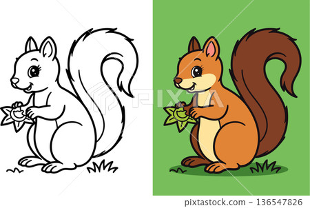 Squirrel coloring page cute forest animal holding nut on grass meadow simple line drawing 136547826
