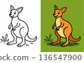 Cartoon kangaroo coloring page for children standing on grass simple animal line art design 136547900