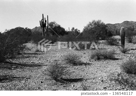 San Tan Mountains Sonora Desert Arizona 136548117