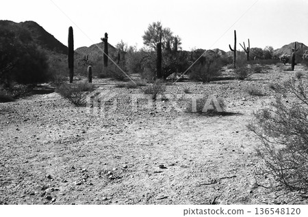 San Tan Mountains Sonora Desert Arizona 136548120