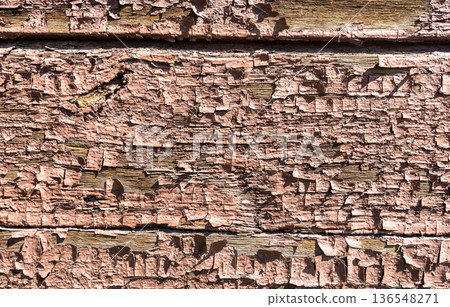 Old rough wooden boards with cracks as creative background in green color. Wooden planks texture 136548271