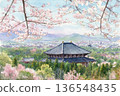 Watercolor painting of Todaiji Temple on the day the cherry blossoms were declared in full bloom 136548435