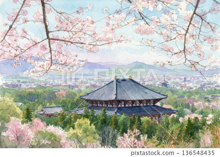 Watercolor painting of Todaiji Temple on the day the cherry blossoms were declared in full bloom 136548435
