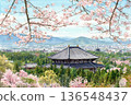 Illustration of Todaiji Temple on the day the cherry blossoms were declared in full bloom 136548437