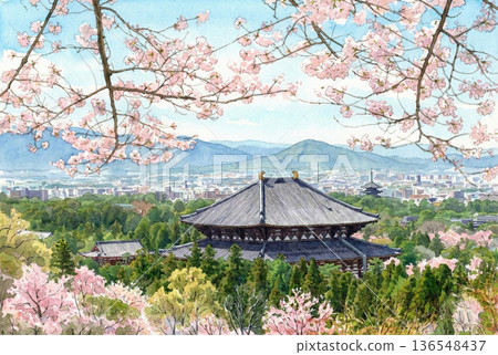 Illustration of Todaiji Temple on the day the cherry blossoms were declared in full bloom 136548437