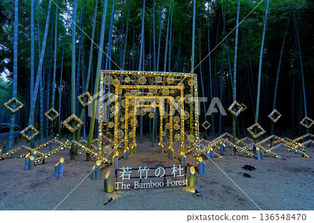 Utsunomiya "Wakatake no Mori Wakayama Farm" Light-up Utsunomiya "Wakatake no Mori Wakayama Farm" Light-up 136548470