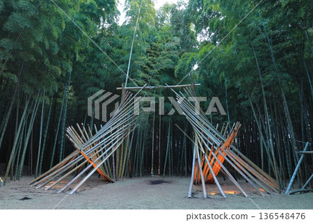 宇都宮「若竹之森和歌山農場」點燈 136548476