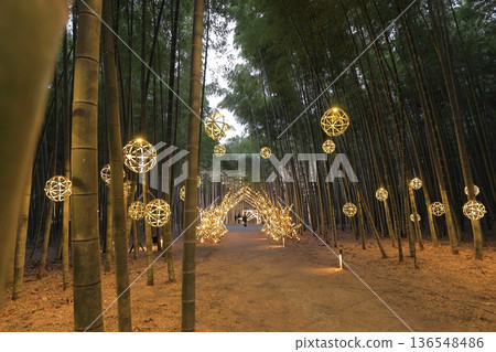 宇都宮「若竹之森和歌山農場」點燈 136548486