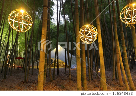 Utsunomiya "Wakatake no Mori Wakayama Farm" Light-up Utsunomiya "Wakatake no Mori Wakayama Farm" Light-up 136548488