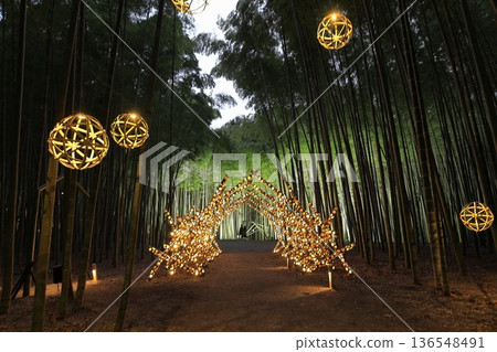 Utsunomiya "Wakatake no Mori Wakayama Farm" Light-up Utsunomiya "Wakatake no Mori Wakayama Farm" Light-up 136548491