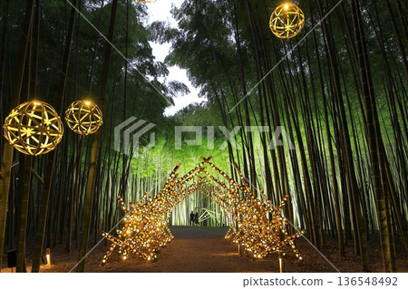 Utsunomiya "Wakatake no Mori Wakayama Farm" Light-up 136548492