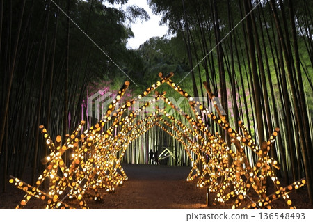 Utsunomiya "Wakatake no Mori Wakayama Farm" Light-up 136548493