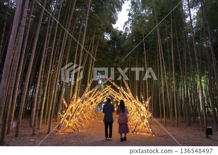 宇都宮「若竹之森和歌山農場」點燈 136548497