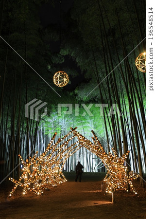 Utsunomiya "Wakatake no Mori Wakayama Farm" Light-up 136548514