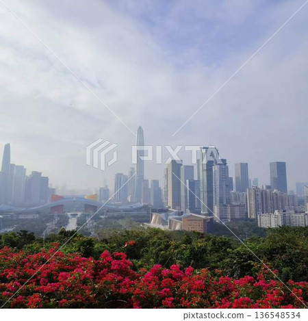 現代都會景觀,摩天大樓林立,花朵盛開。 現代都會景觀,摩天大樓林立,花朵盛開。 136548534