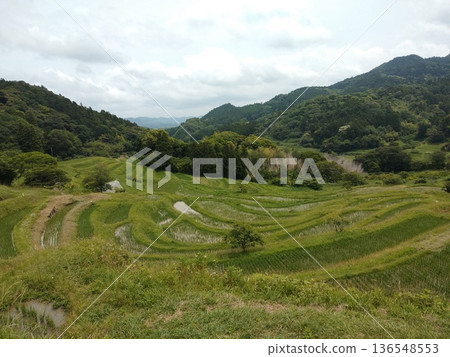 水稻梯田和里山景觀(山地鄉村) 水稻梯田和里山景觀(山地鄉村) 136548553