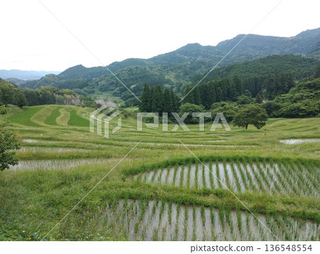 水稻梯田和里山景觀(山地鄉村) 水稻梯田和里山景觀(山地鄉村) 136548554