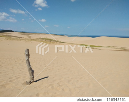 The vast sandy world of Tottori Sand Dunes: A striking summer landscape of blue water and driftwood The vast sandy world of Tottori Sand Dunes: A striking summer landscape of blue water and driftwood 136548561