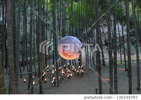 Utsunomiya "Wakatake no Mori Wakayama Farm" Light-up Utsunomiya "Wakatake no Mori Wakayama Farm" Light-up 136548765