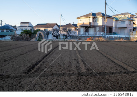 Field in a residential area Field in a residential area 136548912