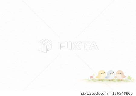 鳥類系列：極簡鳥類圖案與企業留白背景 136548966