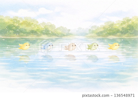 鳥類系列：鳥群平行於水面飛行並倒映水面的全景圖 136548971