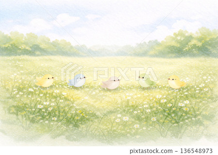 Bird Series: A panorama of small birds standing in a vast grassland 136548973