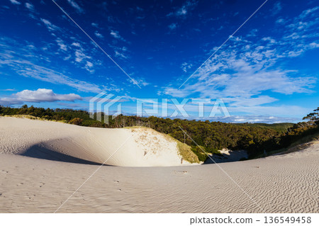 Henty Dunes in Strahan Tasmania Australia 136549458